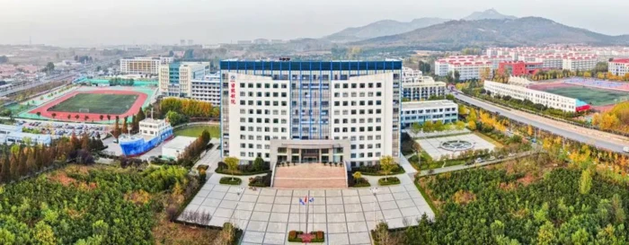 哪里可以找到关于篮球协调训练的教程?_0